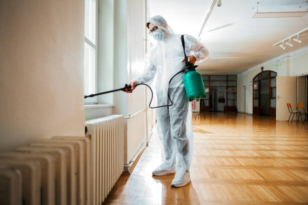 Reliable Lewiston, MN Pest Control Solutions